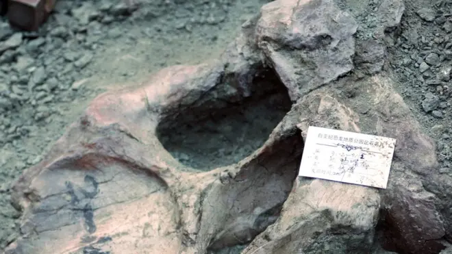 КНР - одна из стран с наибольшим количеством окаменелостей, которые представляют интерес для контрабандистов