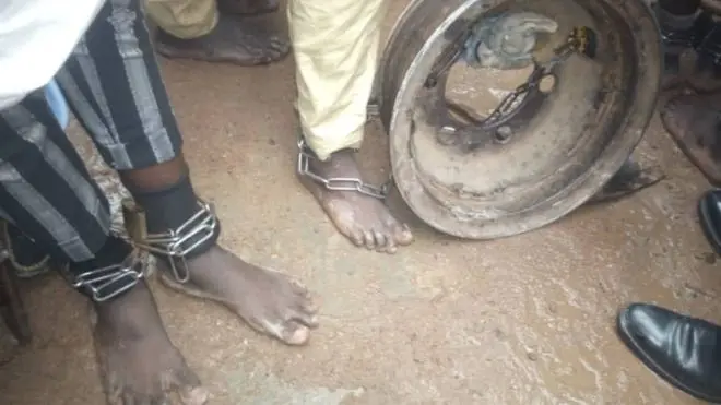 Leg of some of di pipo dem free