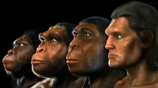 відомі пращури людини