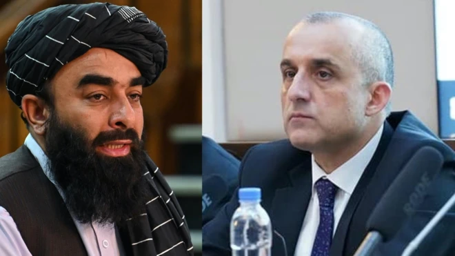 صالح/ مجاهد