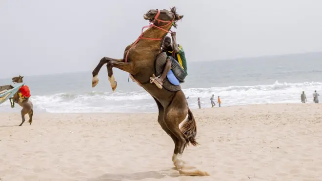 Horse rearing on the beach