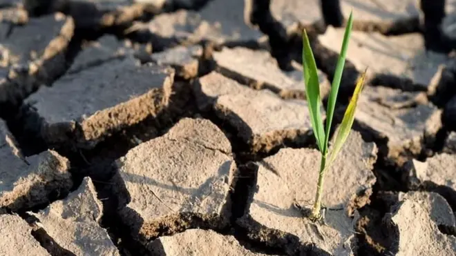 أهداف خفض الاحتباس الحراري صارت ممكنة