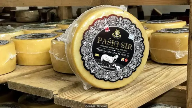 Apa yang dikonsumsi domba di pulau Pap memberikan kualitas susu - bahan membuat keju Pag yang terkenal, Paški sir - rasa yang unik.