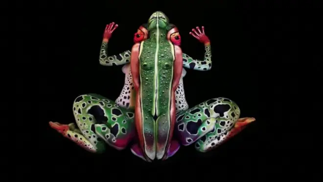 Лягушка - любимый объект Штеттера