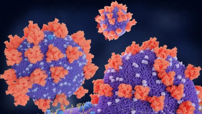 कोरोनाभाइरस