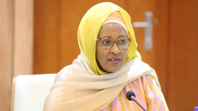 Xaliimo Yareey, Gudoomiyaha Guddiga Doorashada Soomaaliya