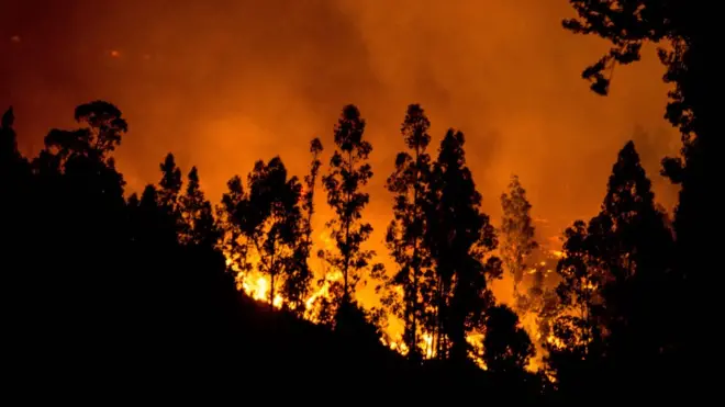 El fuego ha consumido cerca de 400.000 hectáreas de bosques y poblados, un área casi del tamaño de Santiago de Chile.