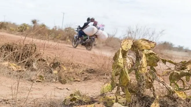 Au moins un million et demi de personnes ont ainsi besoin de secours d'urgence