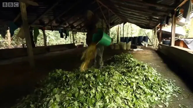 Kolombiya'da kokain operasyonu