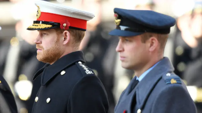 Prince Harry and Prince William