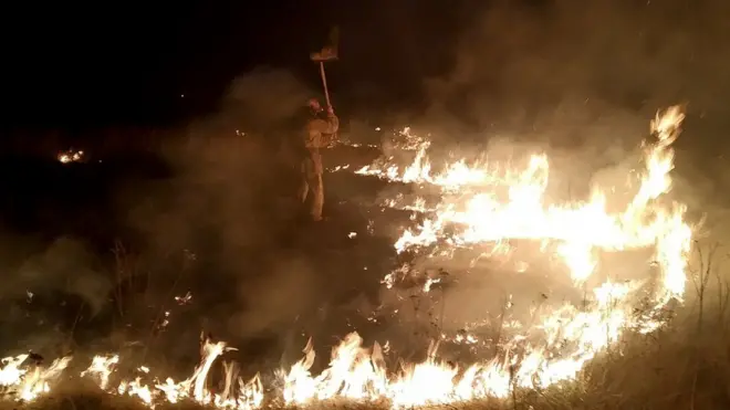 Пожежники вдень і вночі гасять підпалену траву