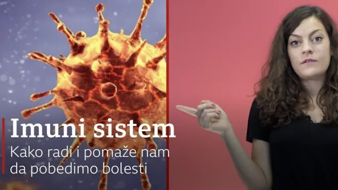 Имунитет анимација