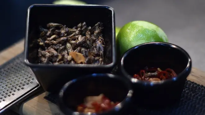 Roasted Cockroach and ingredient wey dem wan use take prepare am