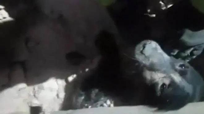 Dog buried in rubble