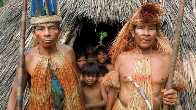 نگرانی بومیان آمازون از روند جنگل‌زدایی