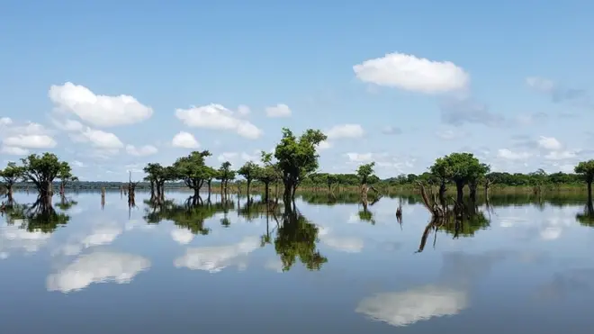 Aos poucos, o turismo ressurge na região amazônica do rio Uatumã, décadas após a construçãosite de apostas skins cs gouma das hidrelétricas que mais prejudicaram o meio-ambiente no Brasil