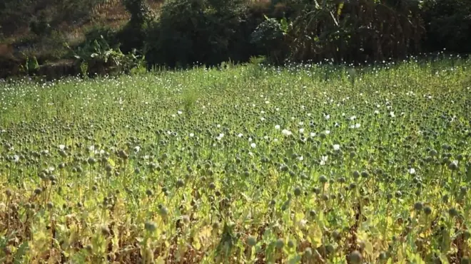 म्यांमार