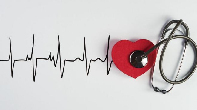 Estetoscópio, a figuracasinos online com bonus de registroum coração e um eletrocardiograma ilustrado