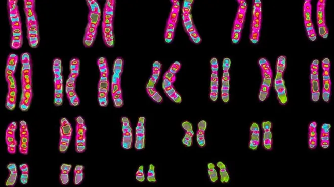 genetik mühendisliği