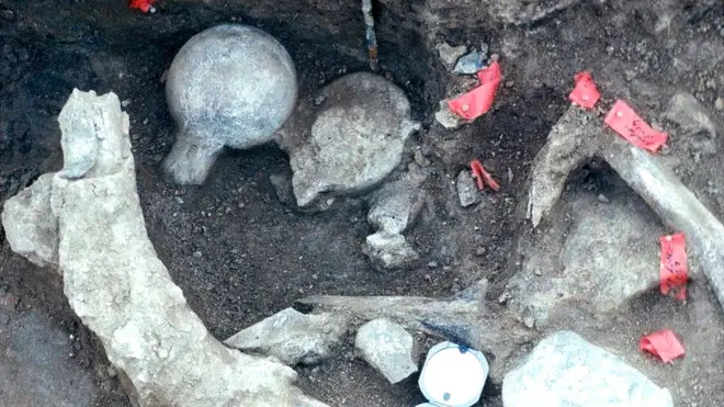 Los restos fueron hallados en 1992 en San Diego, California, durante la expansión de una carretera.