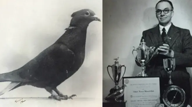 Почтовый голубь Мэри и ее хозяин