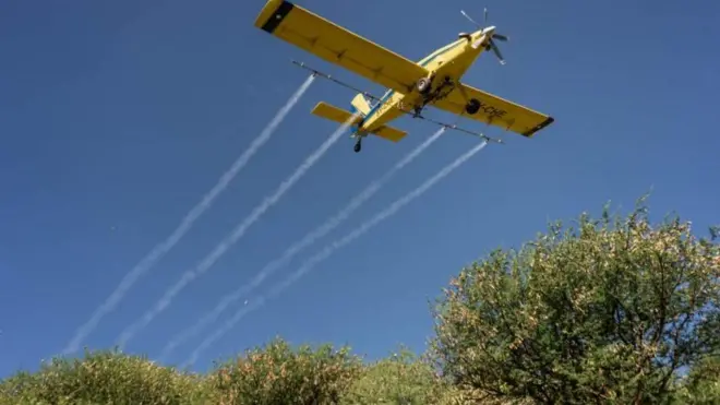 Xiyyaara farra awwaannisaa biifaa jirtu