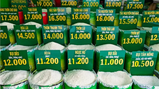 Ưu tiên của Việt Nam là quản lý xuất khẩu để đảm bảo an ninh lương thực của đất nước