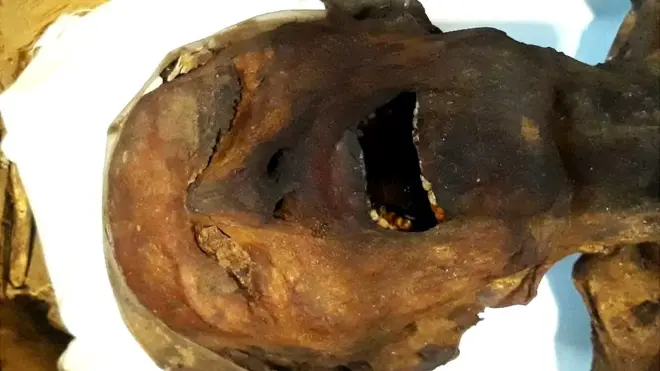 La momia que agoniza fue hallada hacia finales del siglo XIX junto a los restos, también momificados, de Ramsés III, sin embargo nunca se había logrado conocer su identidad.