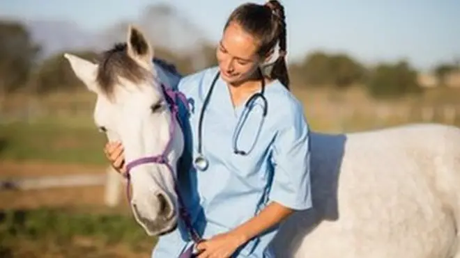 Adi evtanaziya əməliyyatı baytar həkimlər üçün mürəkkəb psixoloji problemlərin yaranmasına səbəb ola bilər.