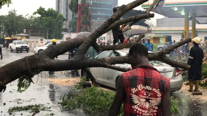 Officials of LASSEMA as dem dey try clear di tree