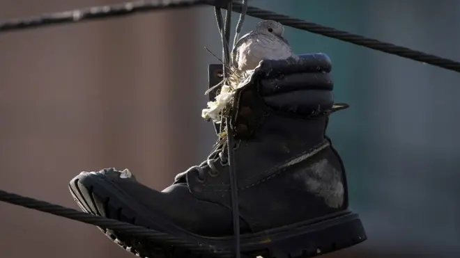Pájaro anidando en una bota colgando de un cable.