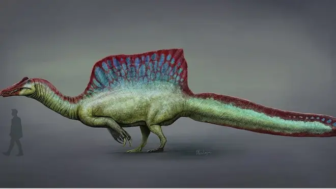 Spinosaurus 2020 reconstruction