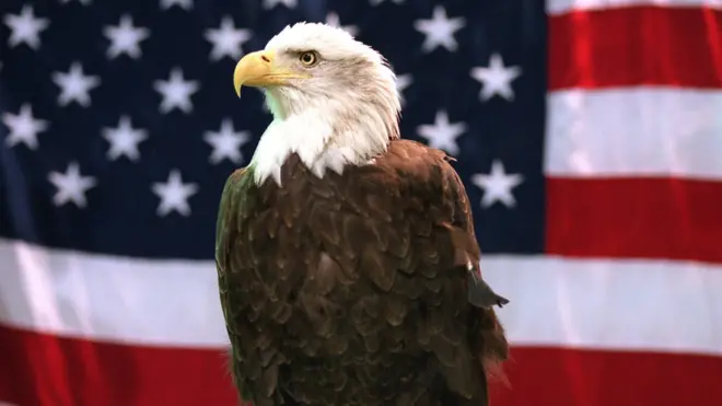 Трампа обвиняют в уступках России, но его советники занимают максимально жесткую позицию