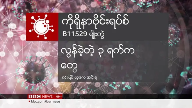 ကိုရိုနာဗိုင်းရပ်စ် မျိုးကွဲသစ် အာဖရိကမှာတွေ့ရ