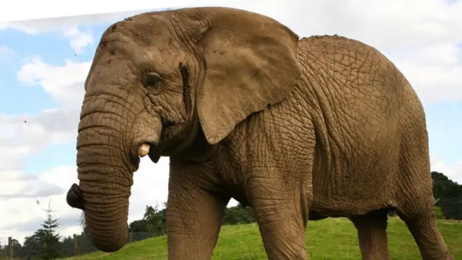 Монди поселилась в Шотландии в 1988 году