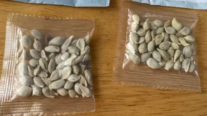 ኣመሪካውያን