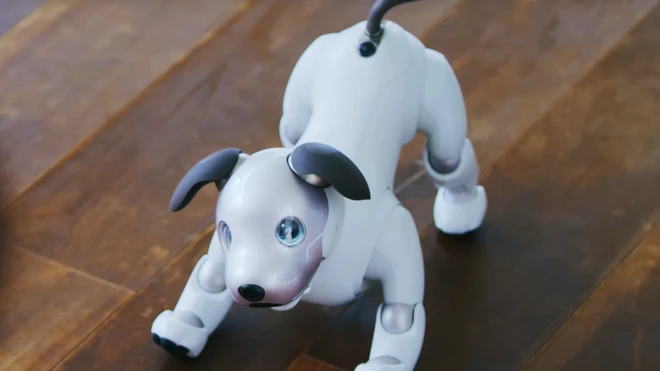 Aibo go fit remember person face