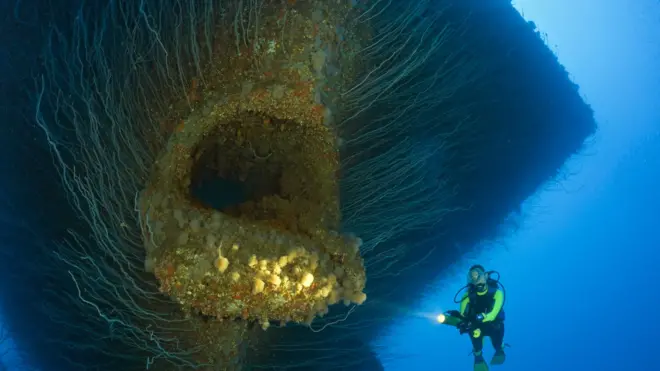 మిడ్ నైట్ జోన్