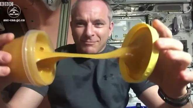 قام رائد الفضاء الكندي ديفيد سان جاك إناء عسل في الفضاء عند الجاذبية صفر.