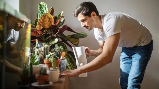 화분에 물 주는 남자