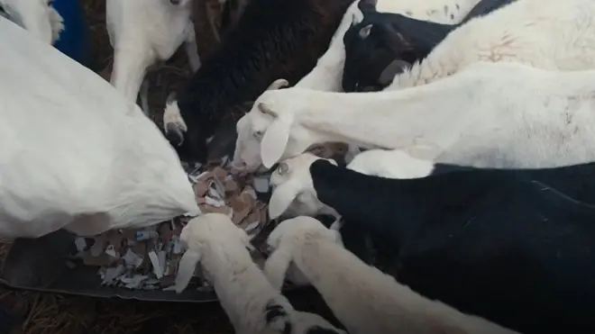 موسمیاتی تبدیلی