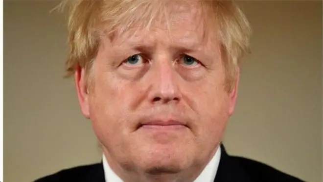 约翰逊资料图片