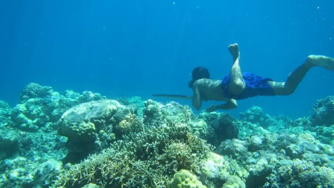 O povo bajau sobrevive coletando crustáceos do fundo do mar