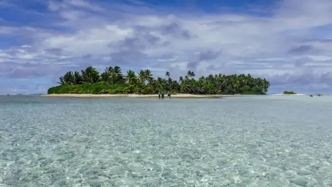 Island Conservation