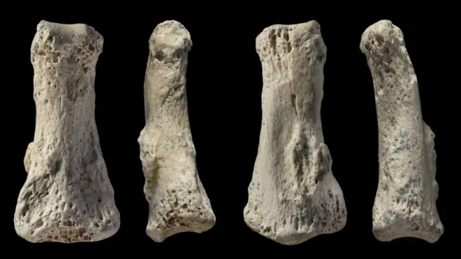 The fossil is of a finger bone believed to belong to Homo sapiens