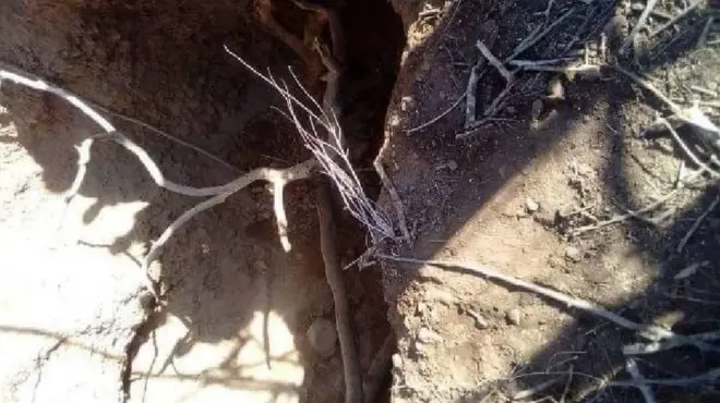 Boolla volkaanoo namoonni itti du'an