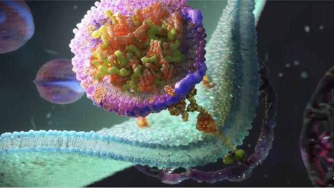 Ilustraçãojogo de aposta ganhar dinheirouma moléculajogo de aposta ganhar dinheirocolesterol atuandojogo de aposta ganhar dinheiroum vaso sanguíneo