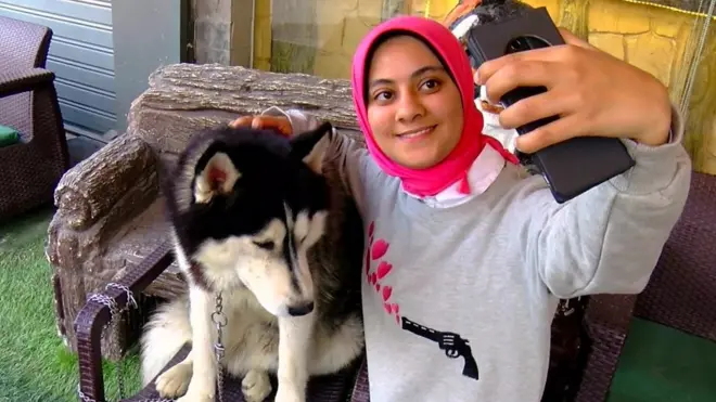 مقهى للكلاب