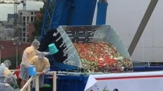 Кузов салата