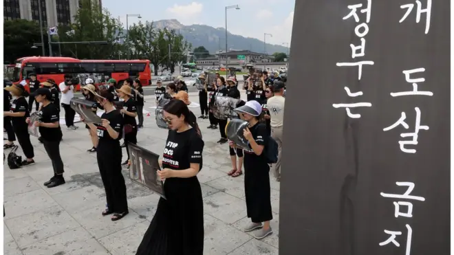 초복인 17일, 한 동물권 단체가 개 도살을 금지하라며 개 장례식을 치르고 있다